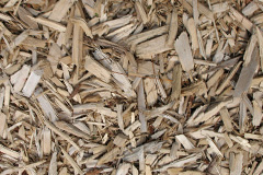 biomass boilers Tremail